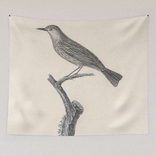 Item preview, The Red-Headed Warbler designed and sold by ptMaker.
