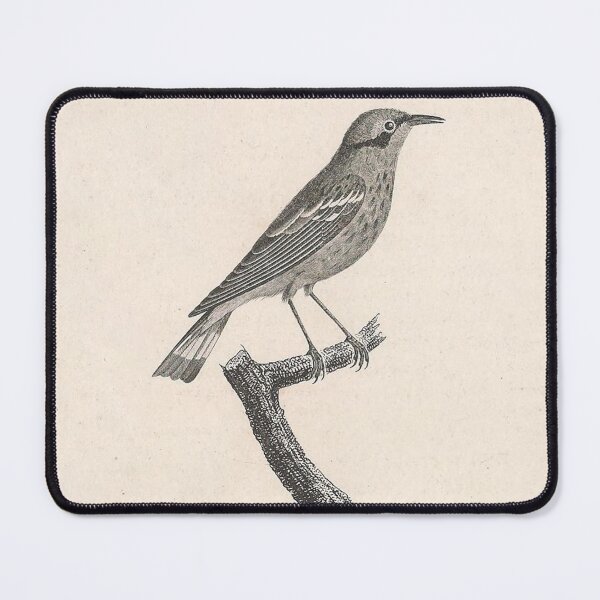 Item preview, Ashy-headed Warbler designed and sold by ptMaker.