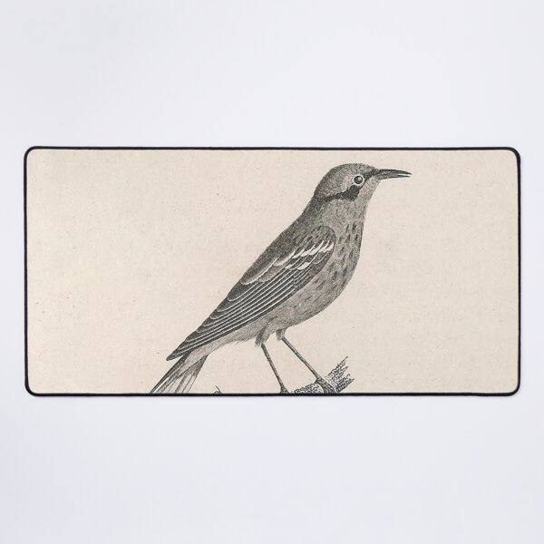 Item preview, Ashy-headed Warbler designed and sold by ptMaker.