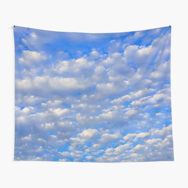 Lots of tiny clouds. Tapestry