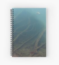 Little Turtle Spiral Notebook