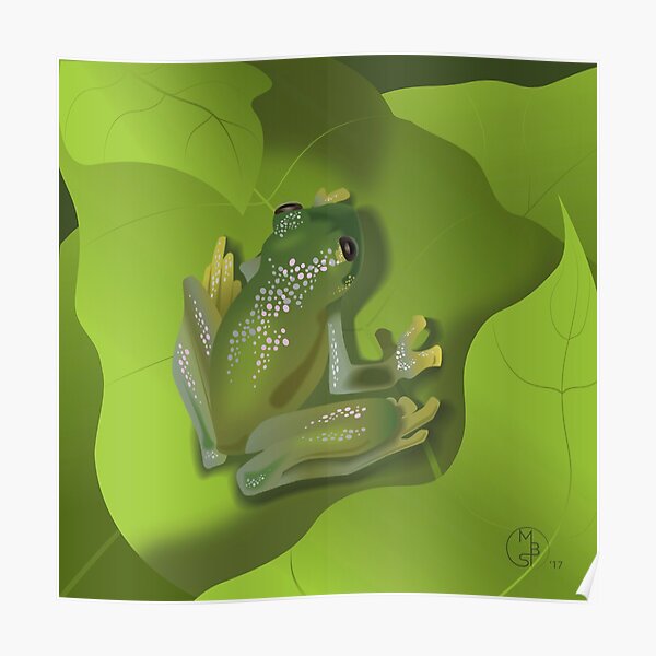 Green Glass Tree Frog Poster