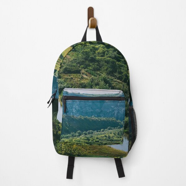 Item preview, Panoramic View of Butuceni Orheiul Vechi designed and sold by Phanaturalis.