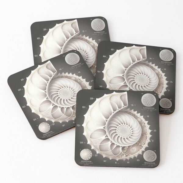 Item preview, White Pearl Fibonacci Golden Ratio Style   designed and sold by RAGANADesign.