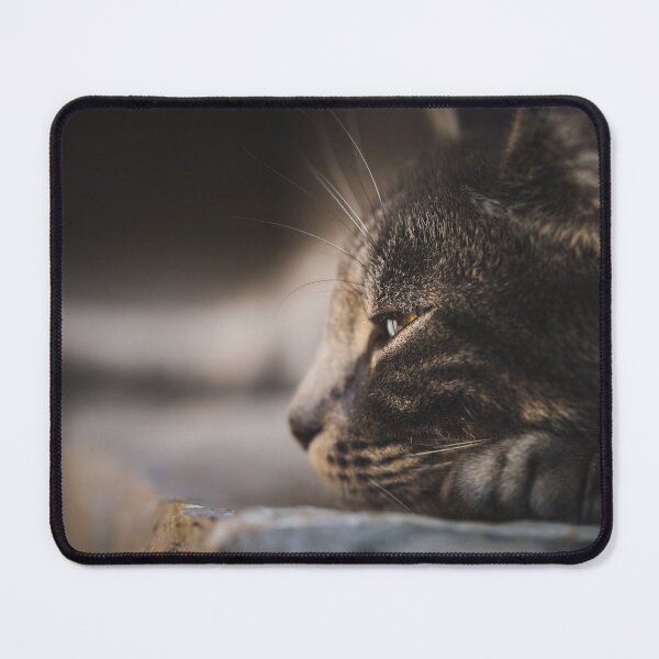 Item preview, CatTired cat designed and sold by Cats26 Store .