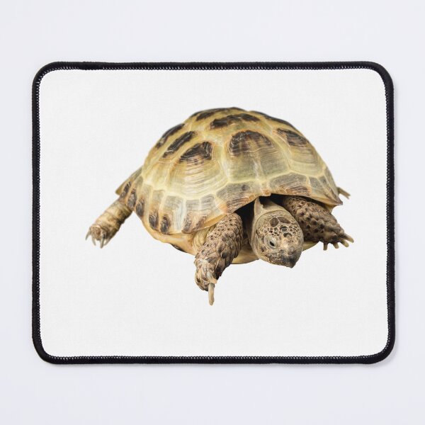 Item preview, Tortoise  designed and sold by Unindiv.