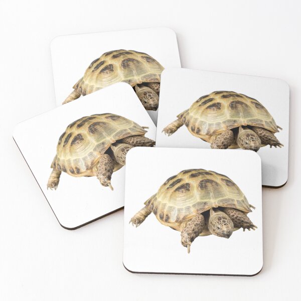Item preview, Tortoise  designed and sold by Unindiv.