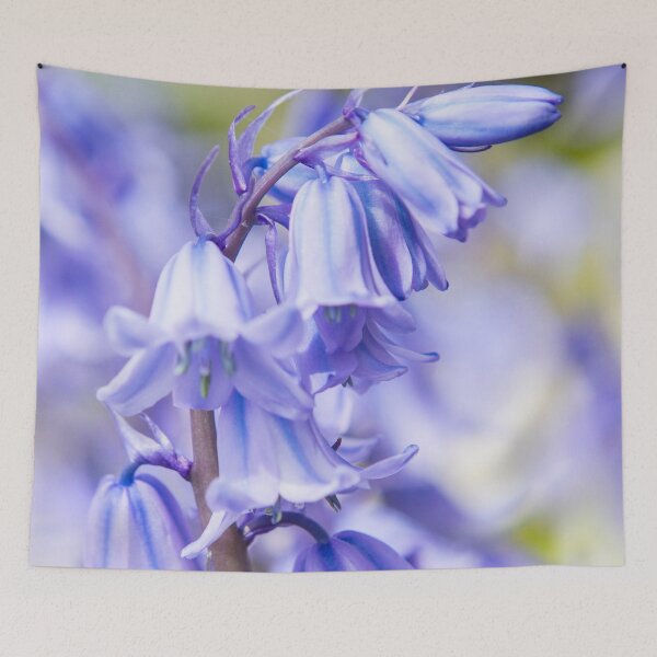 Item preview, Bluebells designed and sold by Dave Hare Photography.