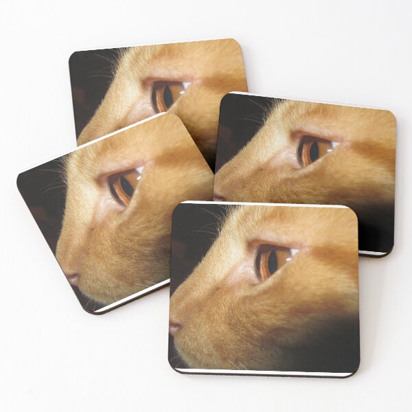 Item preview, Intese cat stare designed and sold by Daerohel.