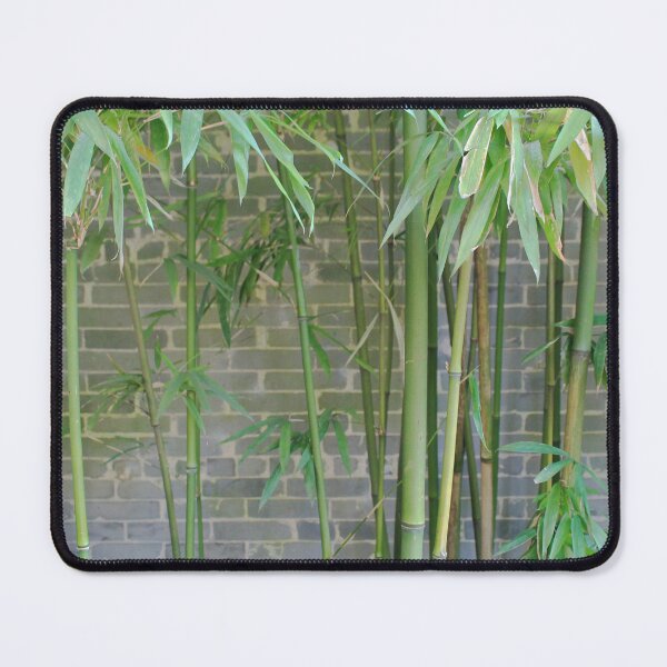 Artikelvorschau, Bamboo Wall entworfen und verkauft von Thomas Halouva.