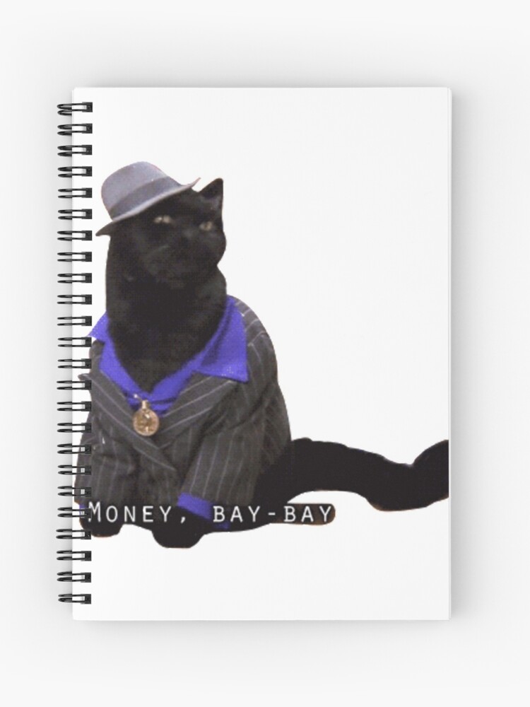 Cahier A Spirale Salem Le Chat Sabrina La Sorciere Adolescente Par Jessicarachel Redbubble