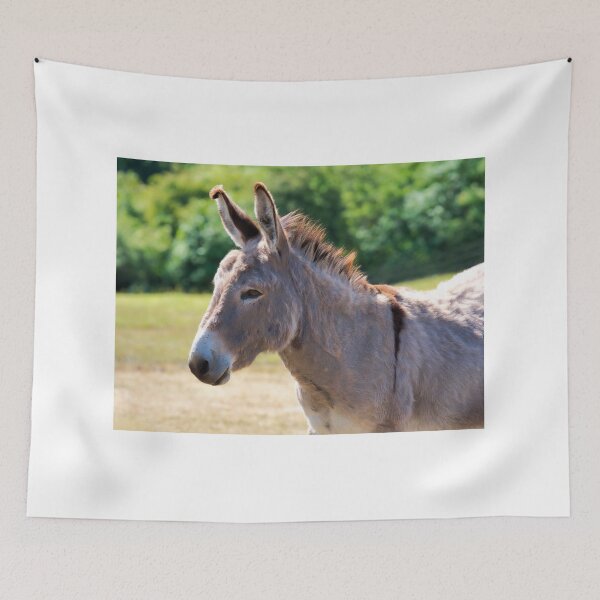 Item preview, Close-up of a Gentle Grey Donkey designed and sold by Dorset Girl.