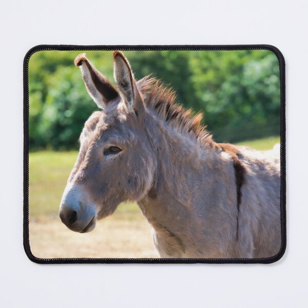 Item preview, Close-up of a Gentle Grey Donkey designed and sold by Dorset Girl.