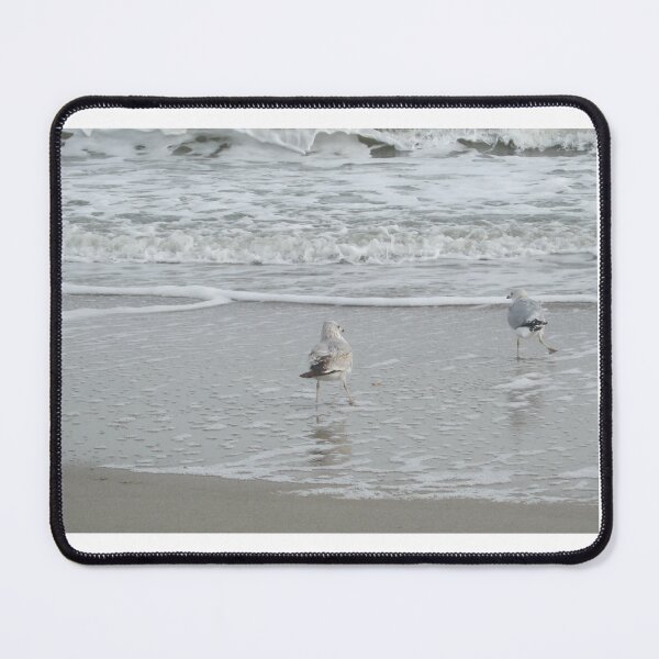Item preview, Trotting seagulls designed and sold by Daerohel.