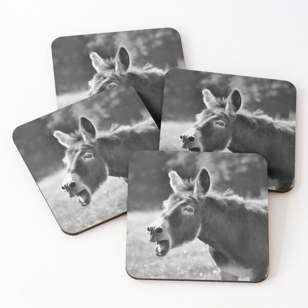 Aperçu de l'œuvre Braying Donkey en monochrome créée et vendue par Dorset Girl.
