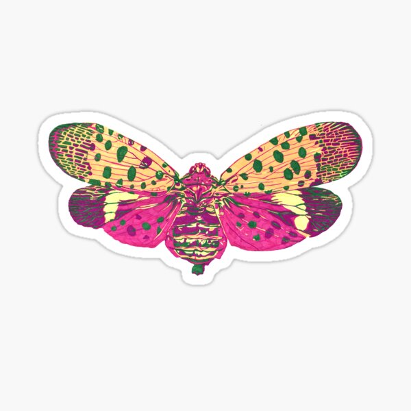 Spotted Lantern Fly Sticker
