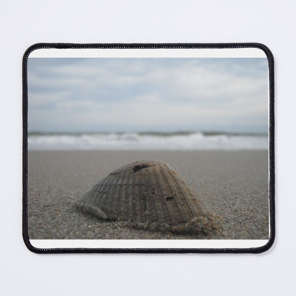 Item preview, Seashell by the seashore designed and sold by Daerohel.