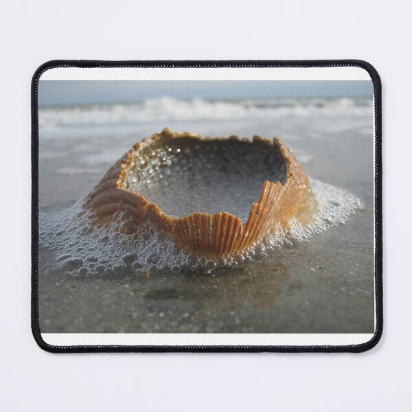 Item preview, Seafoam shell #1 designed and sold by Daerohel.