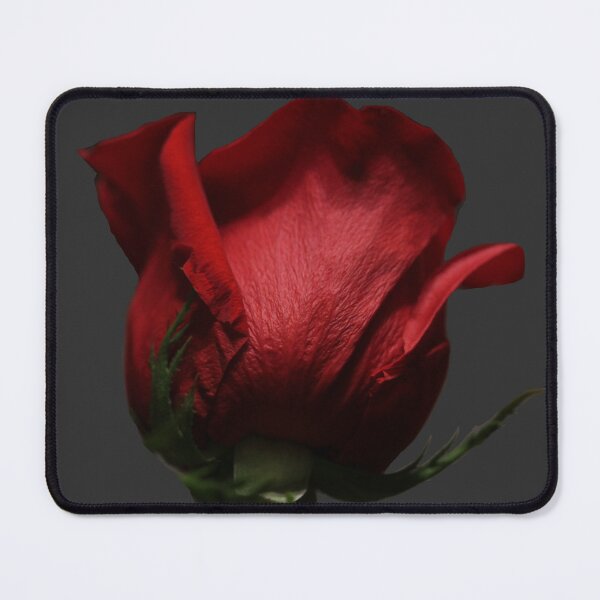 Item preview, A single red rose designed and sold by Jessica Weiss.