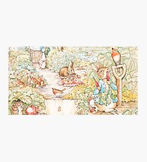 The World Of Beatrix Potter large vintage illustration Photographic Print