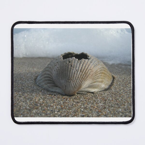 Item preview, Old broken seashell designed and sold by Daerohel.