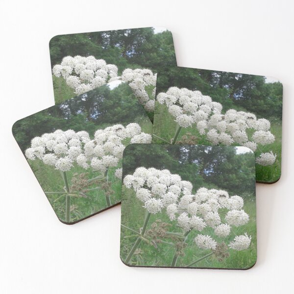 Item preview, Hogweed Flowers designed and sold by SandersSP-Merch.