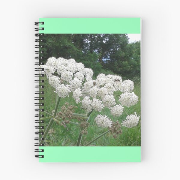 Item preview, Hogweed Flowers designed and sold by SandersSP-Merch.