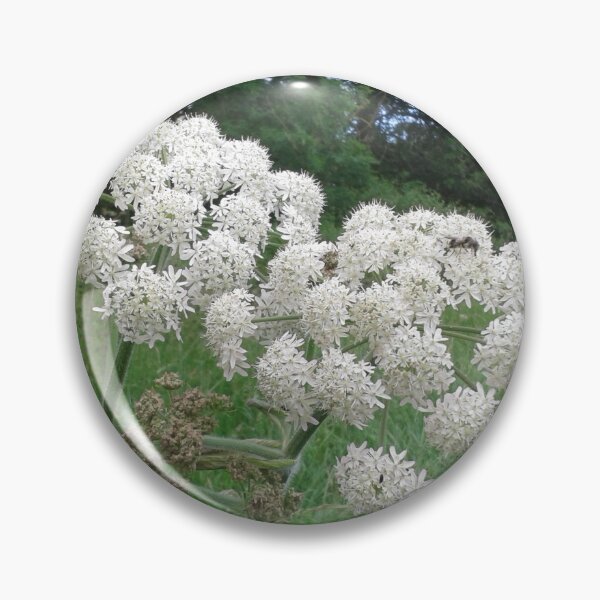 Item preview, Hogweed Flowers designed and sold by SandersSP-Merch.