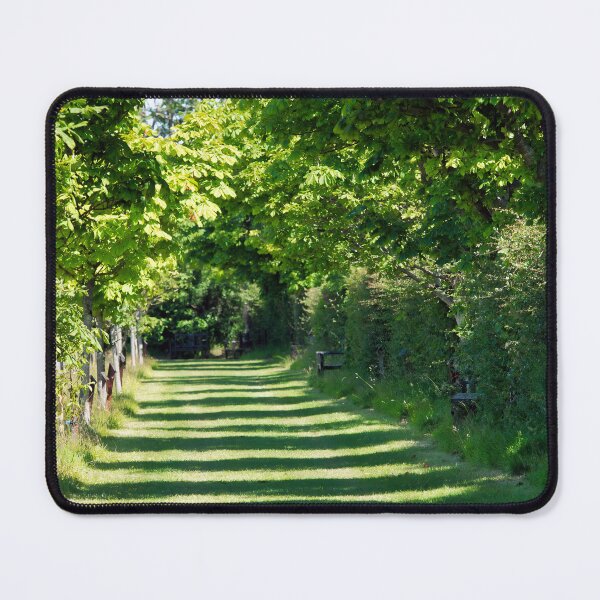 Item preview, Sun-dappled Walkway designed and sold by Dorset Girl.