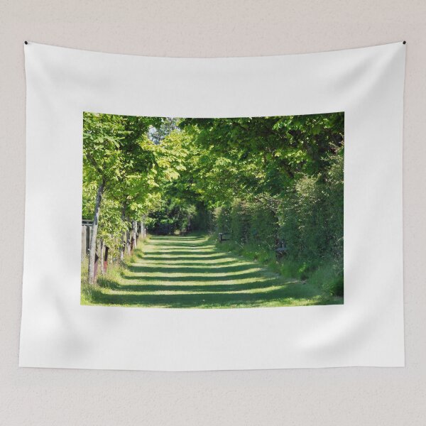 Item preview, Sun-dappled Walkway designed and sold by Dorset Girl.