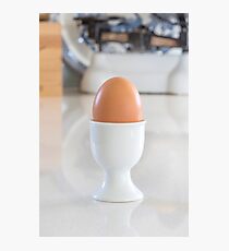 Boiled egg in white. Photographic Print