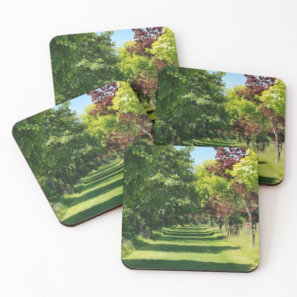 Item preview, Sun-dappled Walkway designed and sold by Dorset Girl.