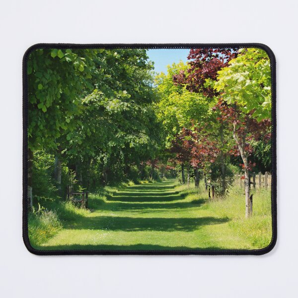 Item preview, Sun-dappled Walkway designed and sold by Dorset Girl.