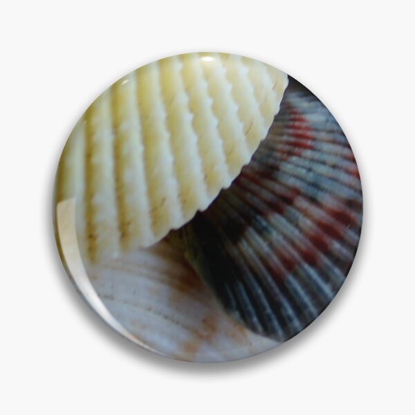 Item preview, Shells on the beach designed and sold by Jmb67.