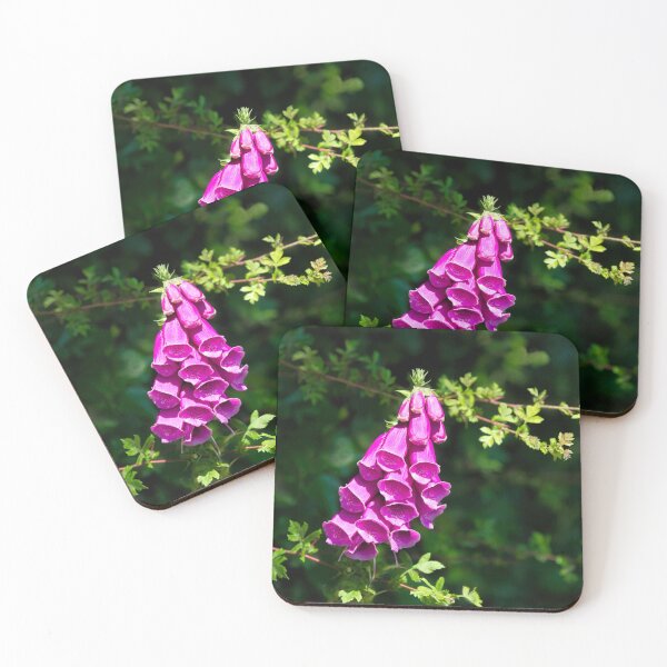 Item preview, Purple Foxgloves Digitalis-purpurea designed and sold by Dorset Girl.