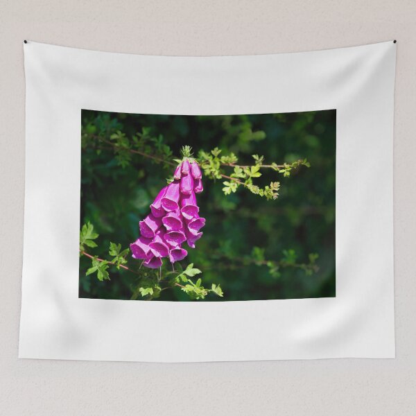 Item preview, Purple Foxgloves Digitalis-purpurea designed and sold by Dorset Girl.