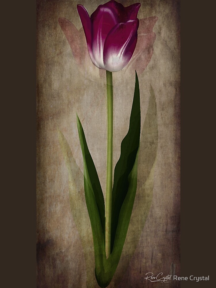 One Simple Beauty by imagesbycrystal
