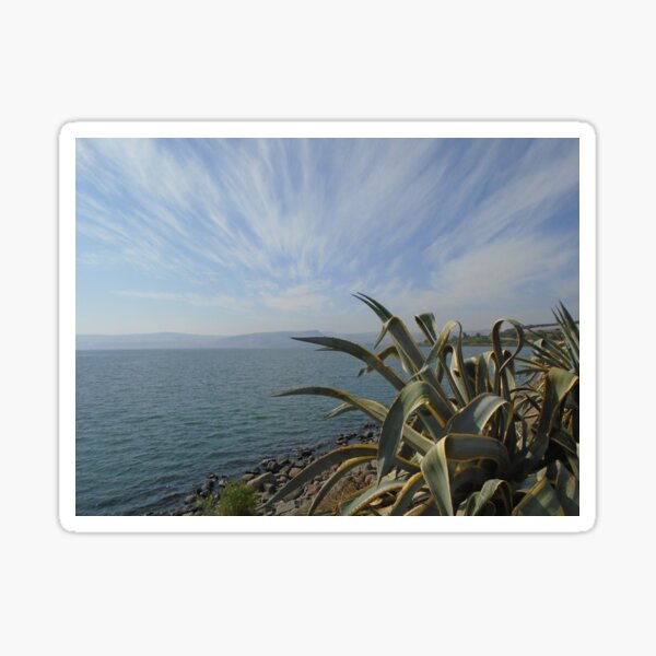Sea of Galilee Sticker