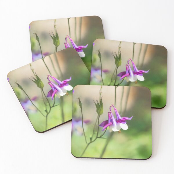 Item preview, Aquilegia - Columbine designed and sold by Dorset Girl.