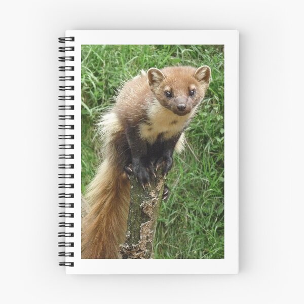 Item preview, Tree weasel designed and sold by Anthony Brewer.