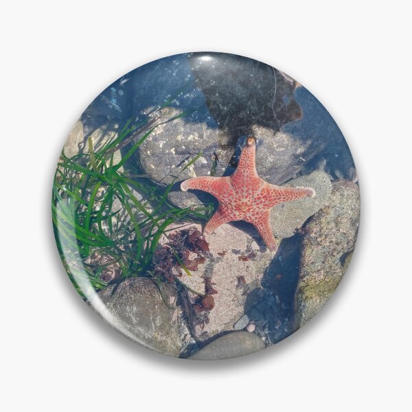 Item preview, Tide pool designed and sold by WildNature129.