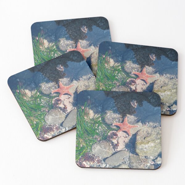 Item preview, Tide pool designed and sold by WildNature129.