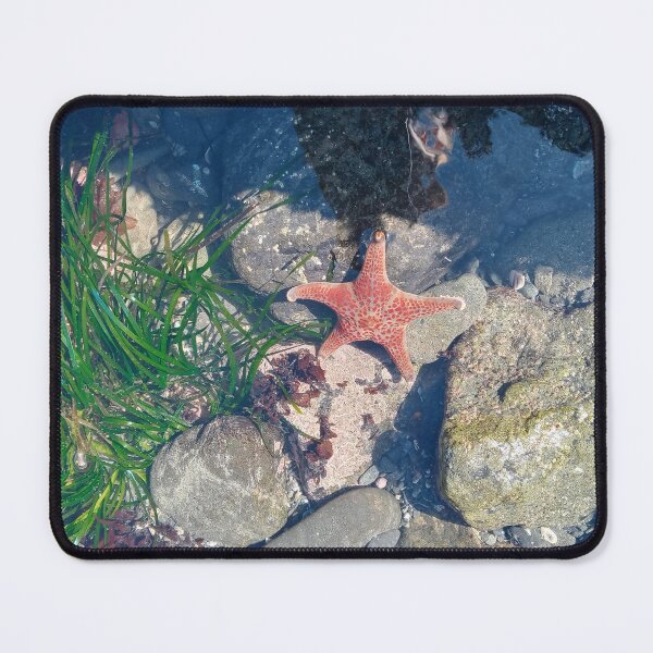 Item preview, Tide pool designed and sold by WildNature129.