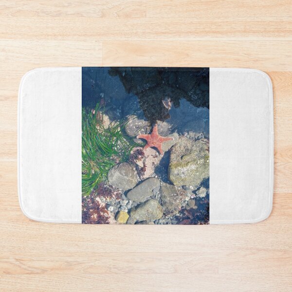 Item preview, Tide pool designed and sold by WildNature129.