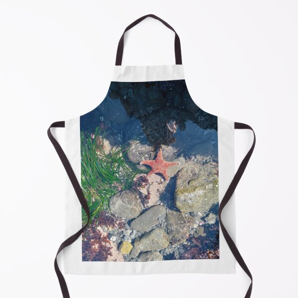 Item preview, Tide pool designed and sold by WildNature129.