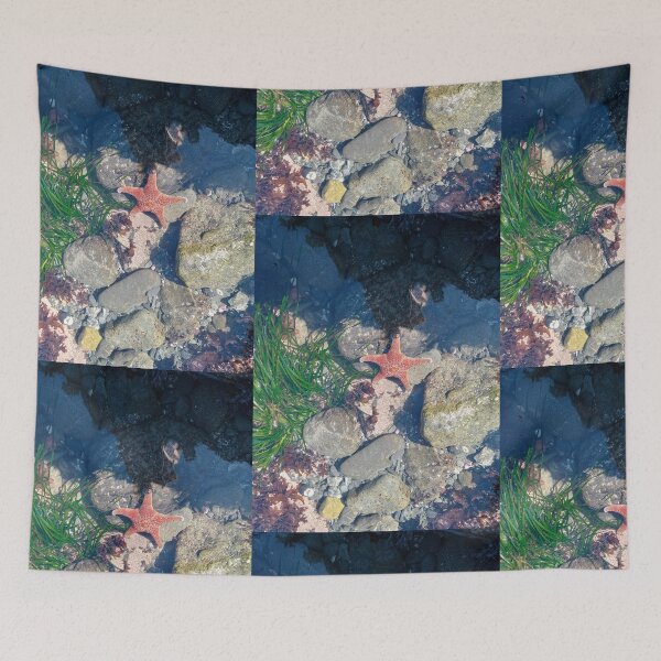 Item preview, Tide pool designed and sold by WildNature129.