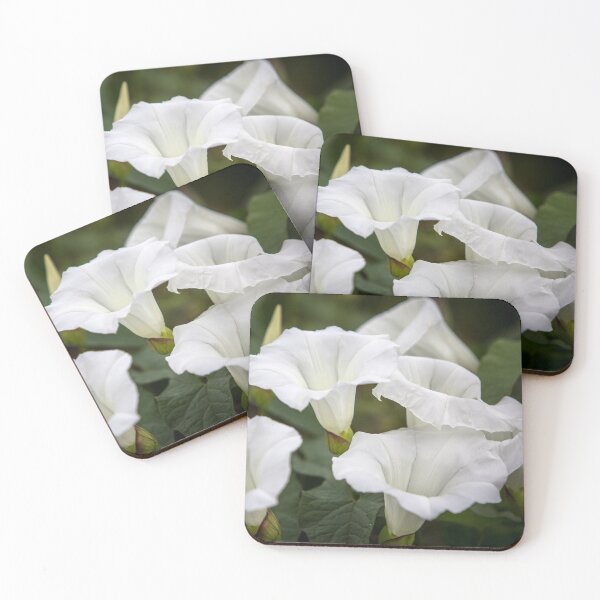 Item preview, White Bells designed and sold by Dave Hare Photography.