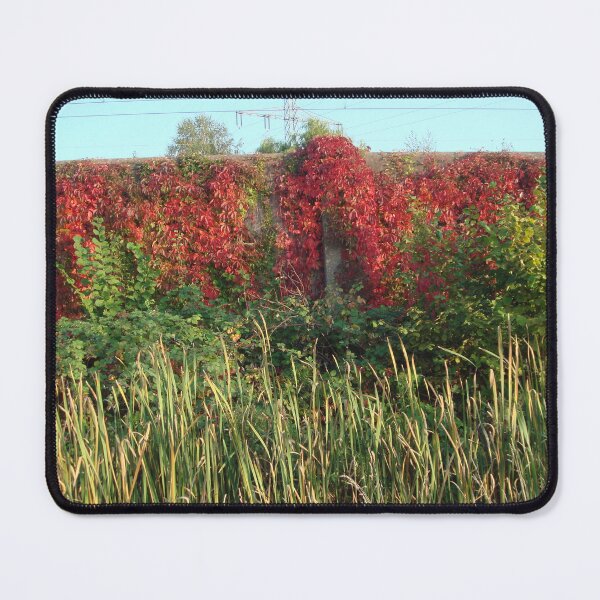 Item preview, Plants climb walls high in autumn // designed and sold by Lillrose.