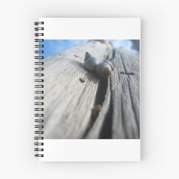 Item preview, Snails on driftwood designed and sold by Daerohel.