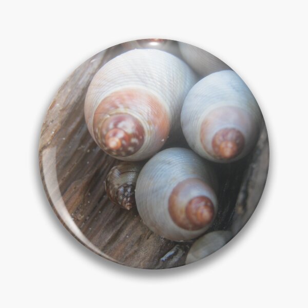 Item preview, Snail huddle designed and sold by Daerohel.